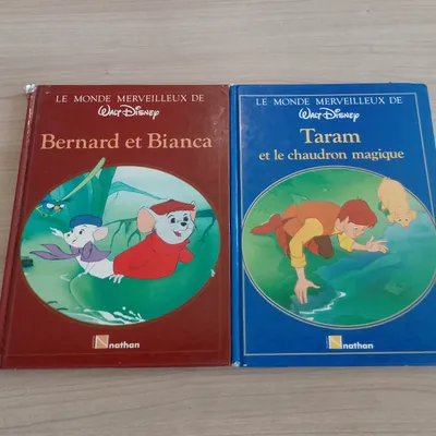 lot de 2 livres Disney ((le monde merveillaux de Disney)